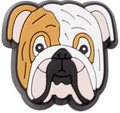 Bull Dog Jibbitz