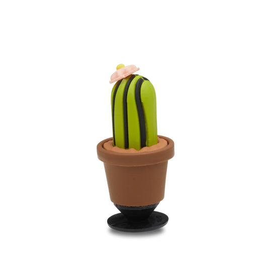 3D Cactus with Flower Jibbitz