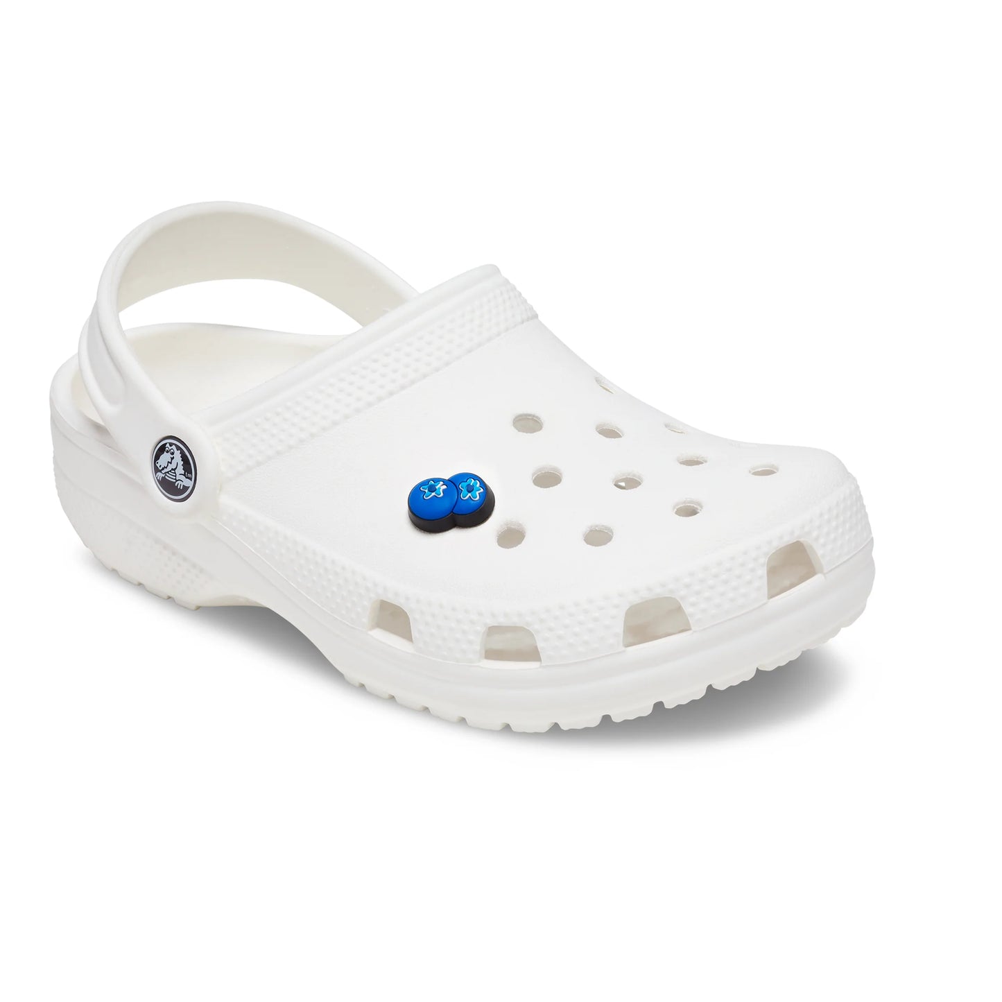 Blueberries Jibbitz