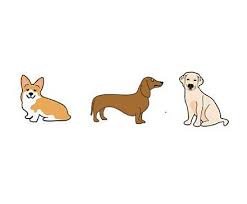 Trendy Dog 3-Pack Jibbitz